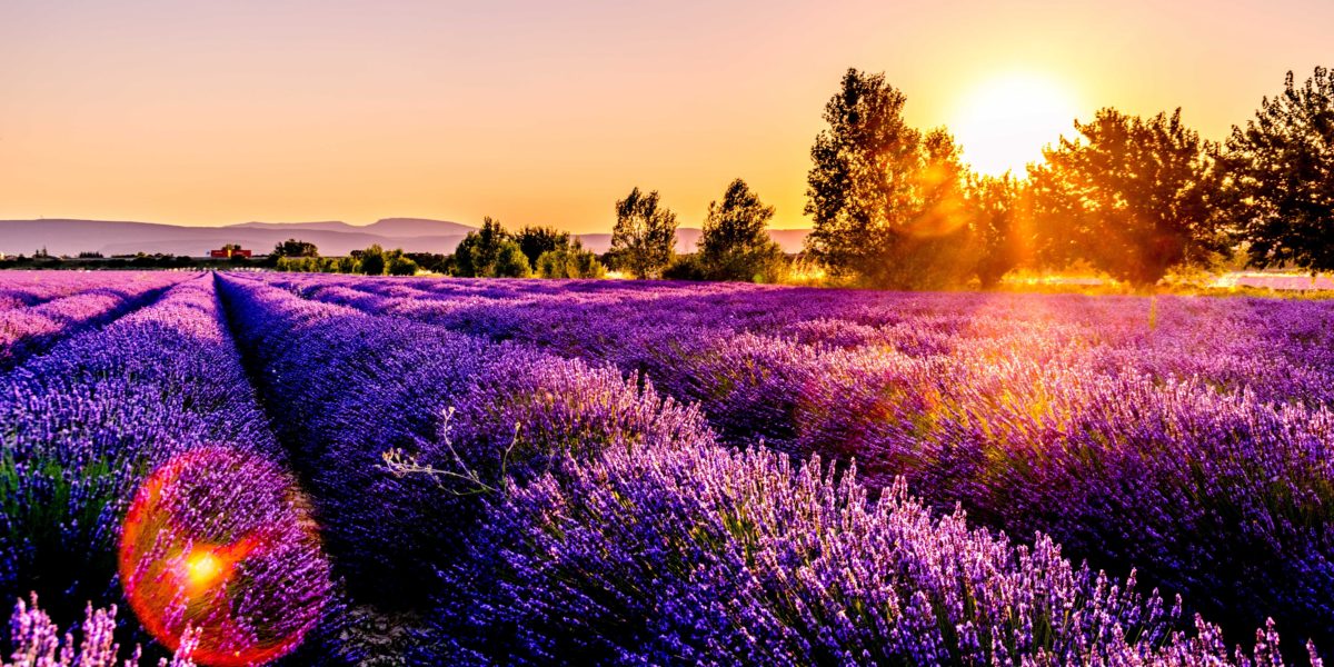 On s'ambiance en Provence