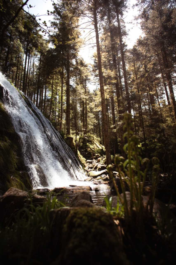 Grande-cascade-de-Tendon, les plus beaux endroits des Vosges
