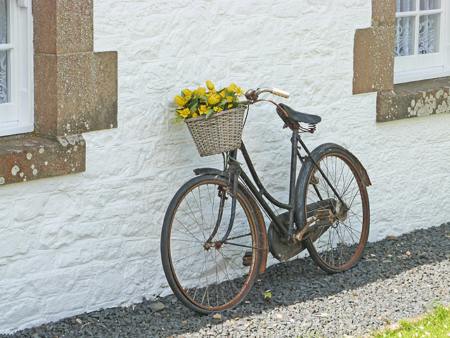 The bicycle as planter